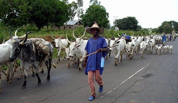 Plateau Youths vow to resist plans to convert communities uprooted by herdsmen for Ruga