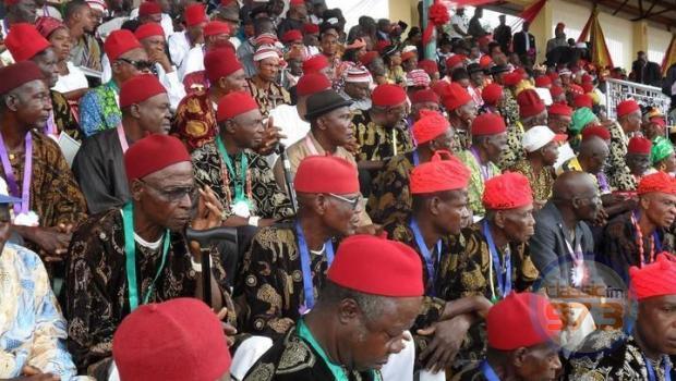 Ohanaeze alleges Fulani vigilante groups have been existing in S’East for decades