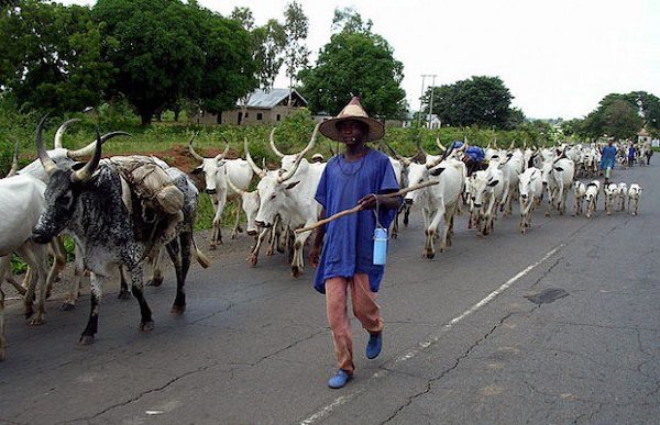 We can't fold our arms and let S’West lands be overrun by strangers— Yoruba Elders