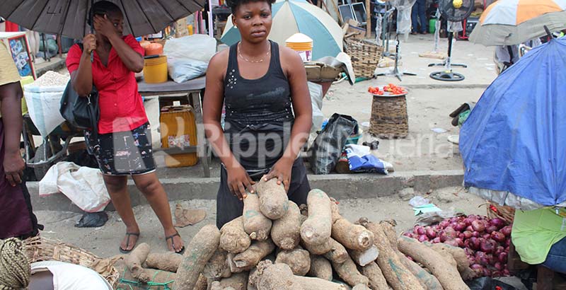 INVESTIGATION... Thugs rule in Rivers markets, force multiple illegal taxes on petty traders, as govt feigns ignorance