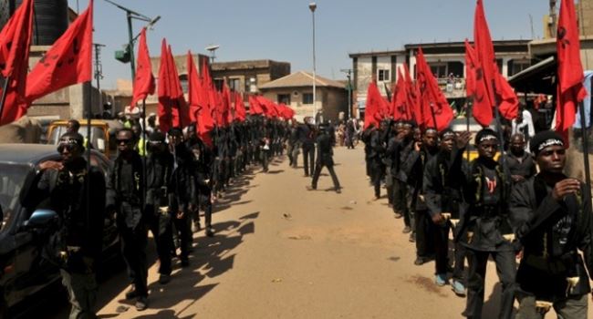 Amnesty Int'l condemns proscription of IMN, says move meant to conceal killing of Shi'ites