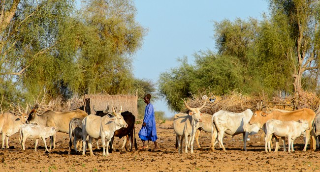 Senegal, Mauritania at risk of hunger, experts say