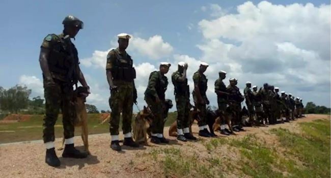 Nigeria Air Force trains, deploys dogs for operations