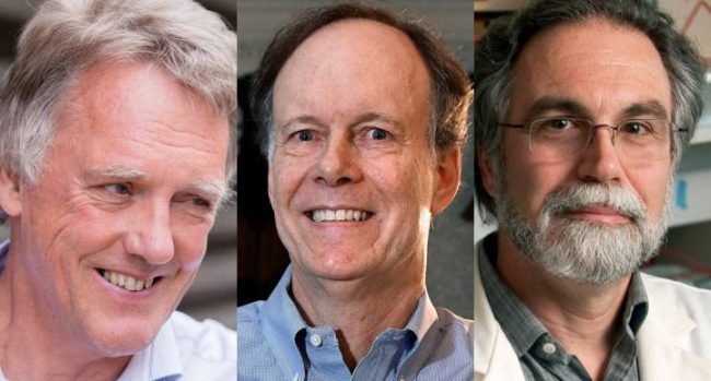 3 scientists bag Nobel Prize in Medicine