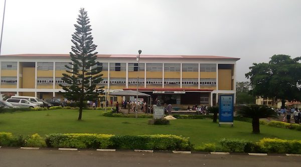 University of Ibadan International School