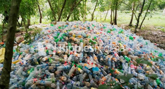 Waste plastic bottles tied up in bunches