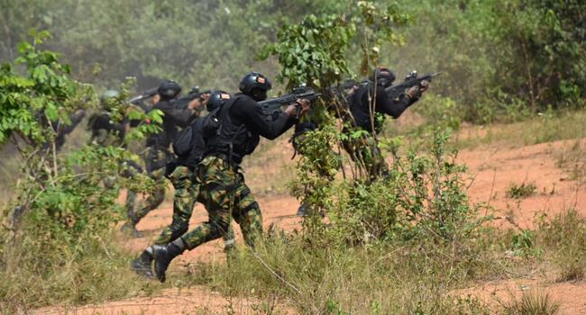 NAF says airstrikes by 'Operation Rattle Snake' killed several B'Haram terrorists