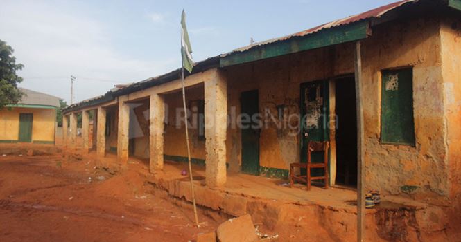 INVESTIGATION... Kaduna community where children learn under trees, with no facilities despite N160m budget for classrooms