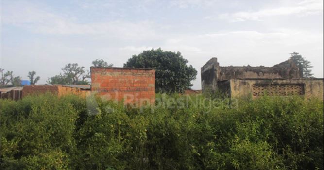 INVESTIGATION... Kaduna community where children learn under trees, with no facilities despite N160m budget for classrooms