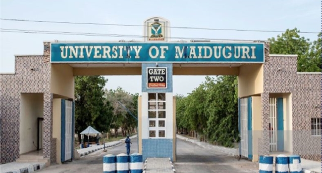 Boko Haram kidnaps, kills UNIMAID student