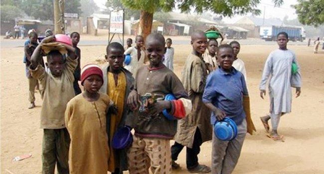 South, Middle Belt leaders decry invasion by Almajiris amid COVID-19 directives