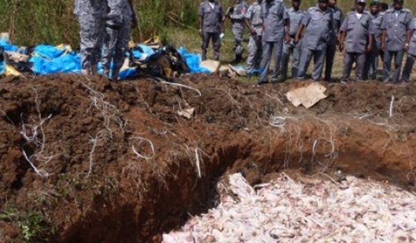 Nigerian Customs destroys imported poultry products worth N20.7m