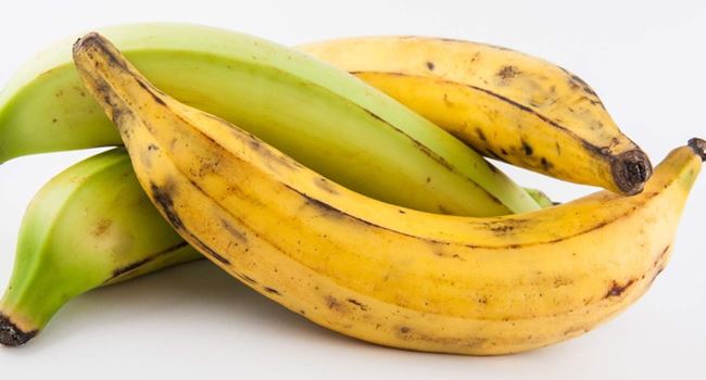 Man gets one month in prison for stealing plantain