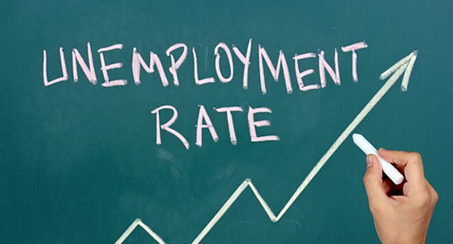 Unemployment rises to 27.1% in Q2 2020