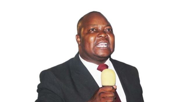 ZIMBABWE: Police arrests Vice-Chairman of opposition party known to be outspoken govt critic