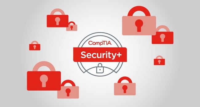 Inputs vs. Outputs of CompTIA Security+ Certification