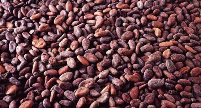 CBN policy leaves cocoa stranded at ports