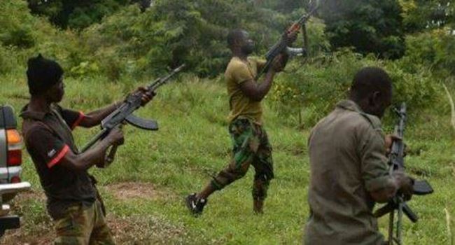 Residents of Kaduna communities pay bandits, militia N3m to harvest farm produce - Group