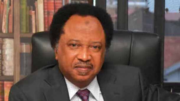 Terror groups now competing for space and innocent blood in Nigeria —Shehu Sani