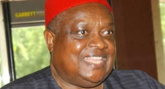 Iwuanyanwu says IPOB leader, Nnamdi Kanu, chasing Biafra the wrong way