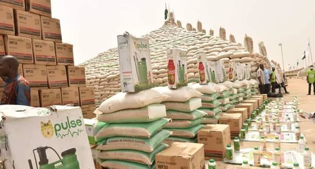 Nigerian govt launches North-East rice pyramid in Gombe