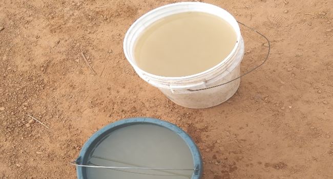 Water from the borehole