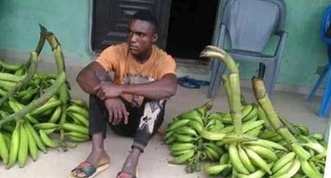 I stole to raise N10,000 for my girlfriend —Man who stole plantain