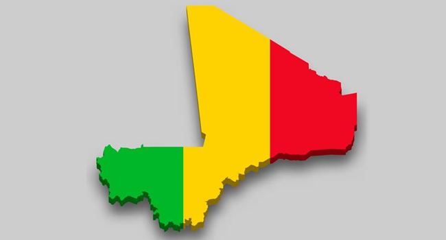 Like ECOWAS, African Union suspends Mali, threatens sanctions