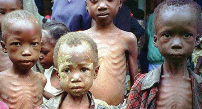 Over 2.6m people face food crisis, malnutrition in Borno —NEDC boss, Alkali