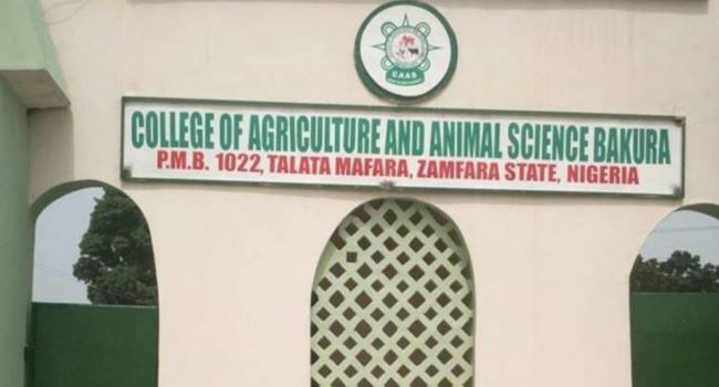 JUST IN... Again, gunmen kidnap students, teacher, others from Zamfara college