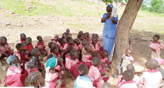 UNICEF to establish schools for kids in IDP camps receiving classes under trees in Benue