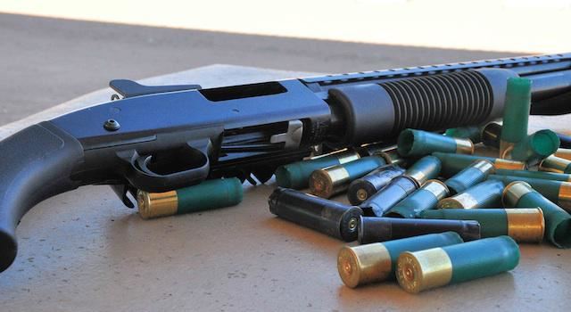 Pump Action gun cartridges