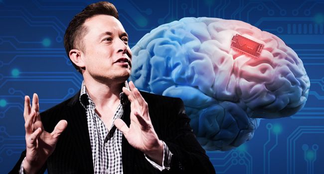 Elon Musk's brain chip implants almost ready, with it humans can save  memories like 'photo album' - Ripples Nigeria