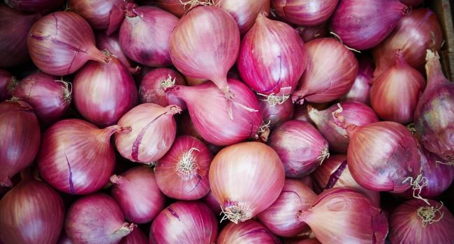 Sokoto to earn N300bn annually from exporting onions —Tambuwal