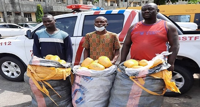 Police intercepts busload of illicit drugs, rejects N500,000 bribe in Lagos  - Ripples Nigeria
