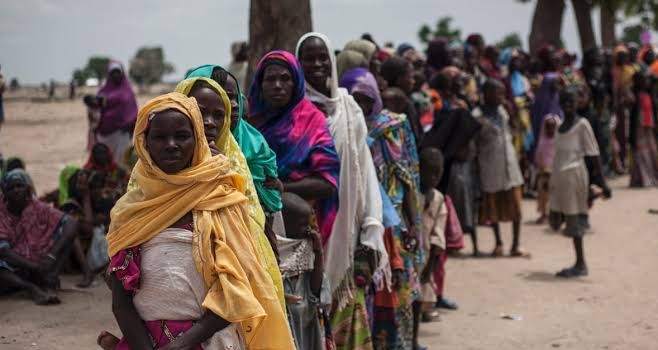 4m northern Nigerians face severe food crisis as starving people now eat grass —UN