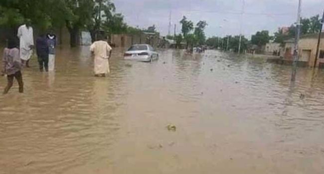 Death toll from Jigawa floods rises to 92 - Agency
