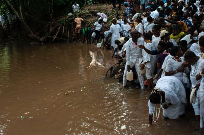 Nigeria’s sacred Osun River supports millions of people - but pollution is making it unsafe