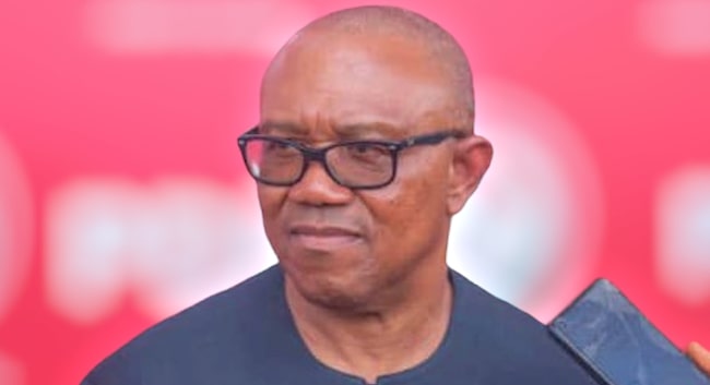 Dual Citizenship: Peter Obi Dragged To Court By Rival Political Party
