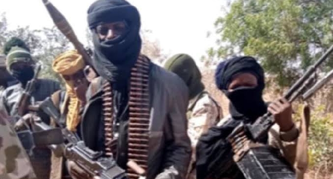 Bandits abduct 39 children from Katsina farm - Ripples Nigeria