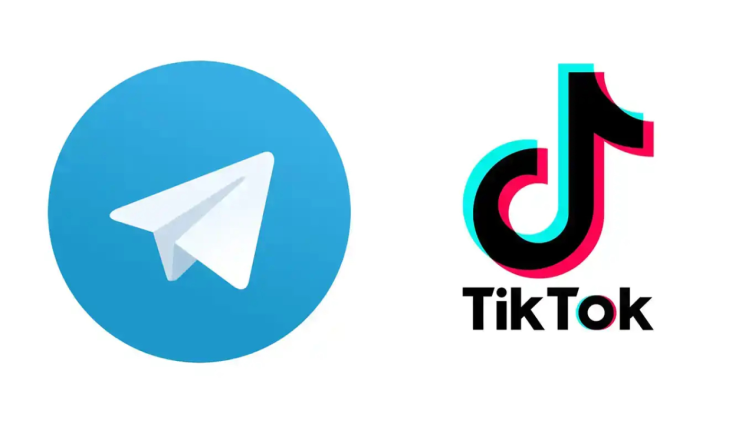 Somali Government Bans TikTok, Telegram, Others
