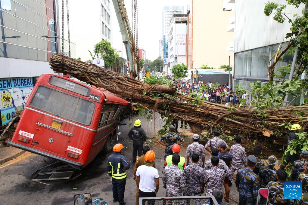 Fallen tree kills five people in state-run bus service in Sri Lanka